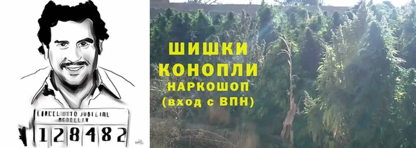 молекула духа Няндома