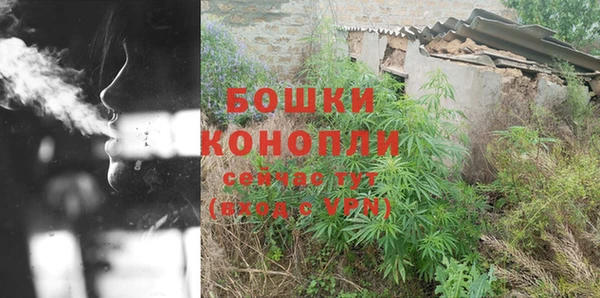 молекула духа Няндома