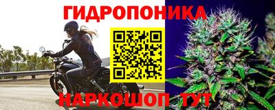 винт Волжский