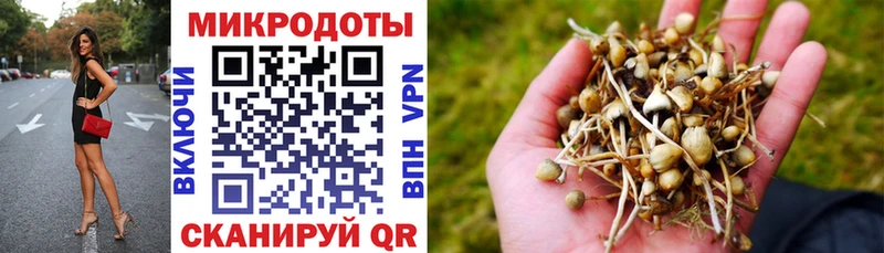 МЕГА tor  купить наркоту  Кировск  darknet наркотические препараты  Псилоцибиновые грибы ЛСД 