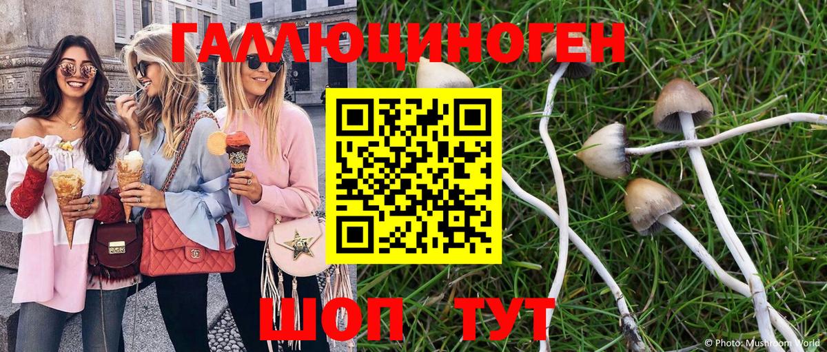 Кировск  Псилоцибиновые грибы мухоморы  Вход с VPN 
